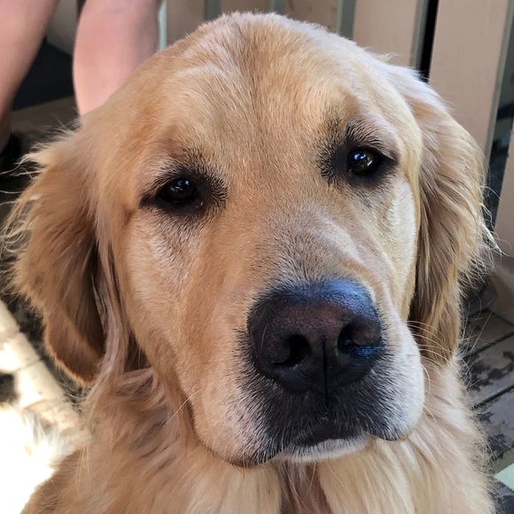 Meet your Posher, Jill - Picture 1 of 1